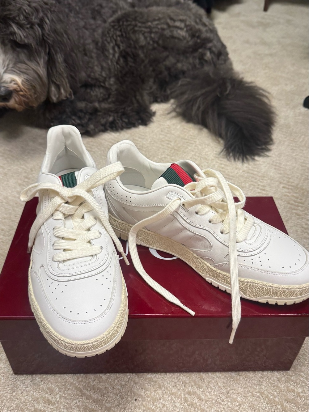 Gucci White Leather Sneakers with Beige Soles and Green/Red Web